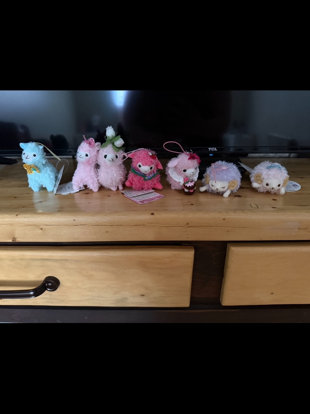 VERY RARE ALPACASSOS